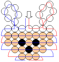 easter bunny bear head