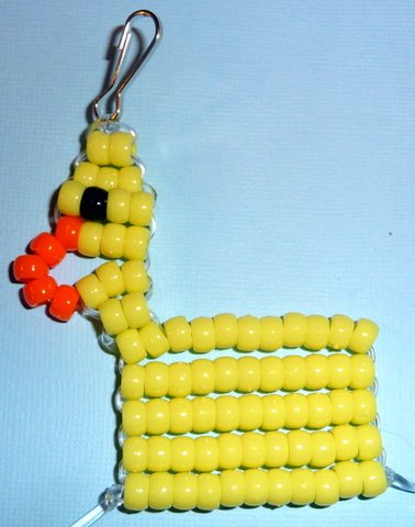 duck pic