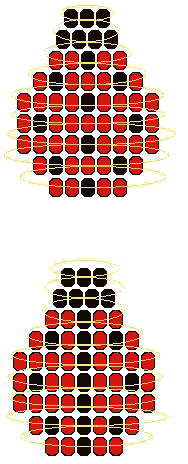 ladybugs