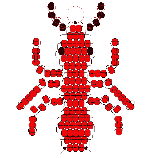 redant