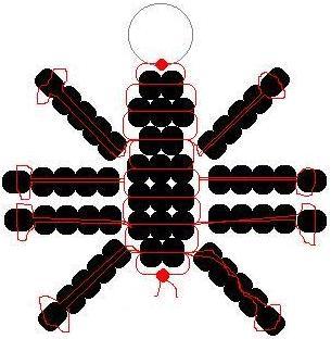 spider