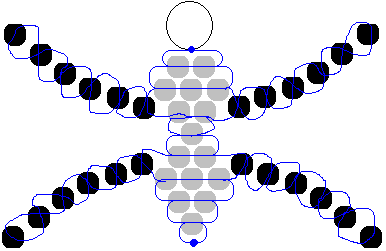 spider3