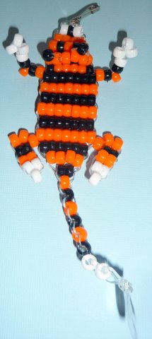 tiger pic