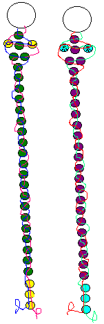 slitherworth