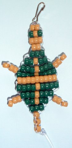 turtle1