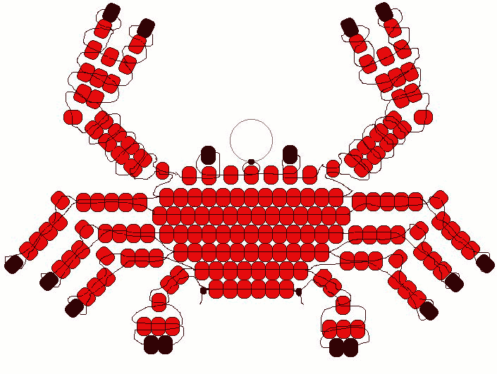 crab