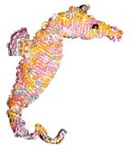 seahorse