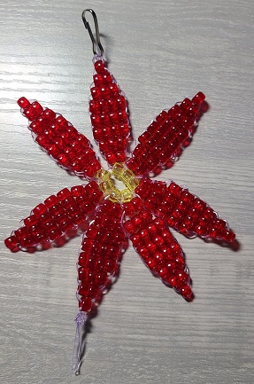 poinsettia pic