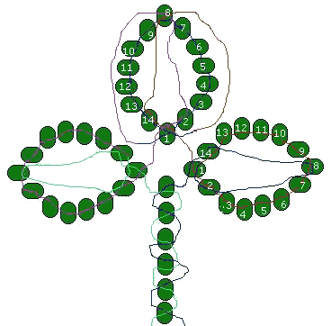 shamrock stringpath