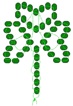 shamrock2.jpg (22980 bytes)